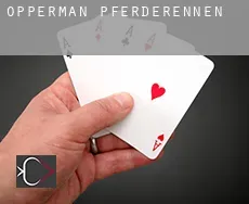 Opperman Pferderennen