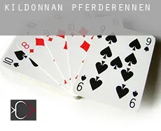 Kildonnan  Pferderennen