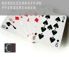 Nordgeorgsfehn  Pferderennen