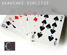 Okauchee  Schlitze