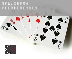 Speichrow Pferderennen