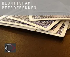 Bluntisham  Pferderennen