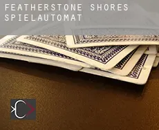 Featherstone Shores  Spielautomat