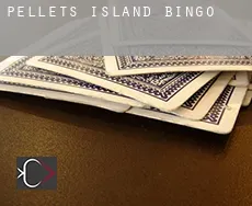 Pellets Island Bingo