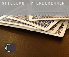 Stillern  Pferderennen