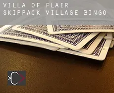 Villa of Flair Skippack Village Bingo