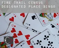 Fire Trail  Bingo