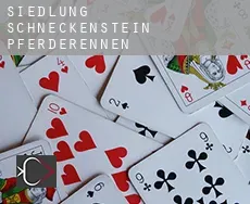 Siedlung Schneckenstein  Pferderennen