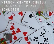 Vernon Center  Schlitze