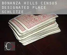 Bonanza Hills Schlitze
