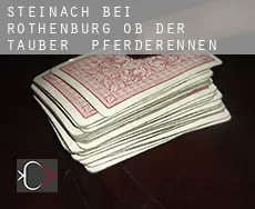 Steinach bei Rothenburg ob der Tauber  Pferderennen
